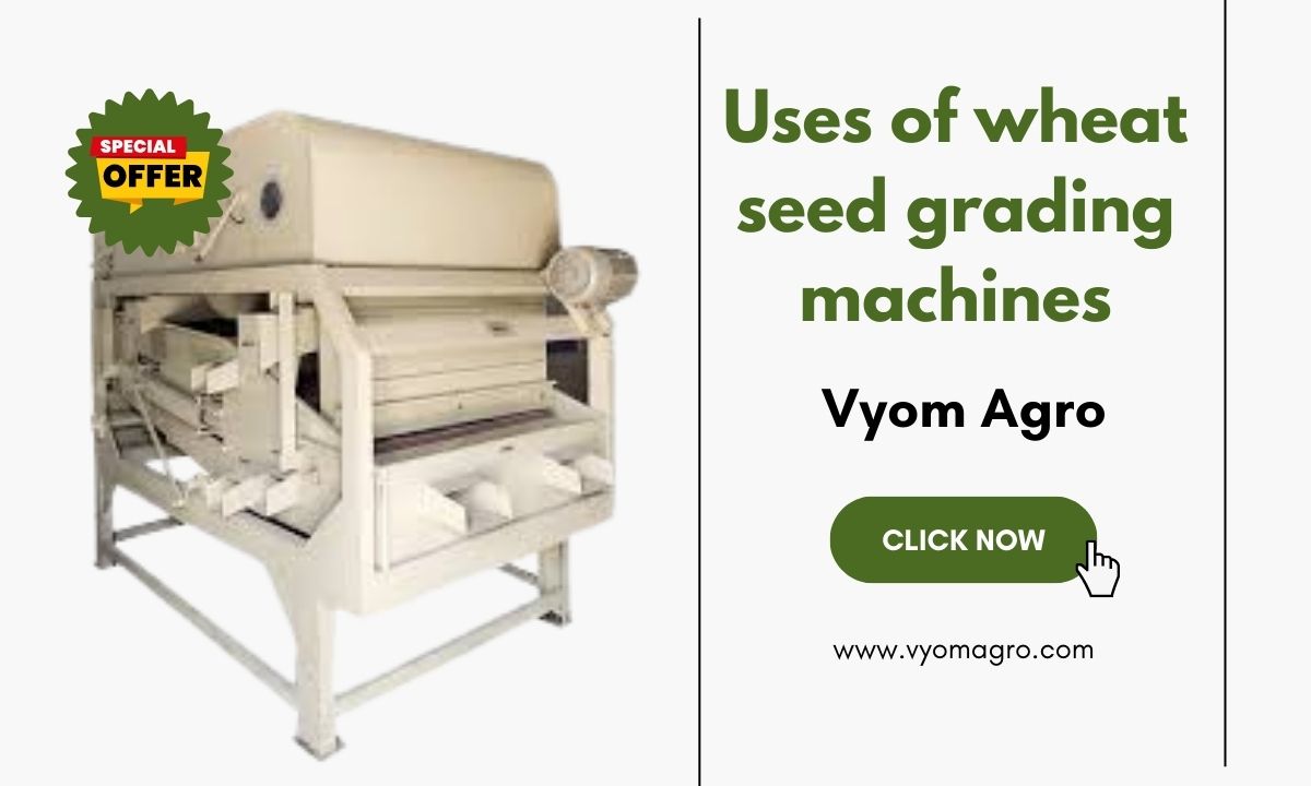 How Wheat Seed Grading Machines Improve Crop Quality and Boost Productivity