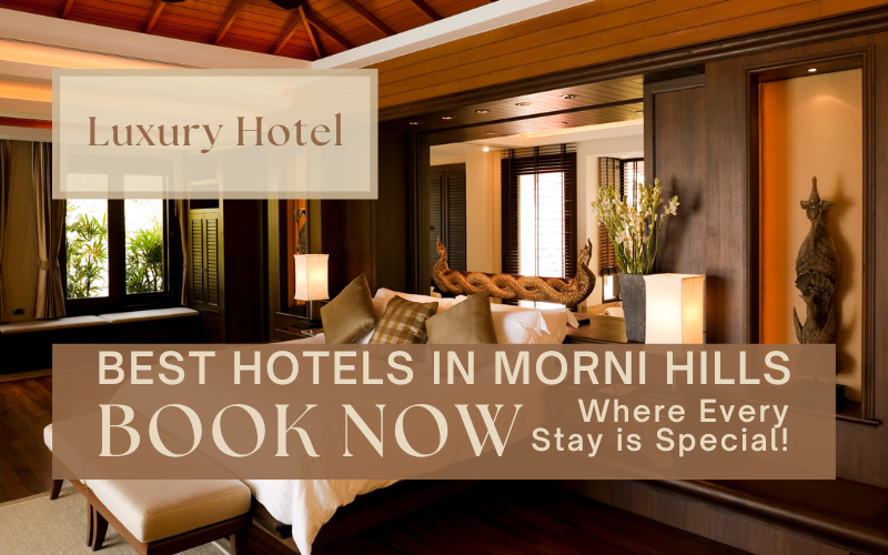 Experience Luxury and Serenity: The 10 Best Hotels in Morni Hills Await You